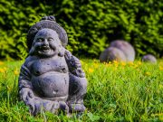 A Feng Shui Mindset For Success